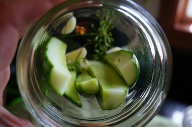 Put the cucumbers into the jar skin-side out.