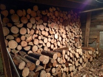 The enormous winter-ready stack of wood in the basement.